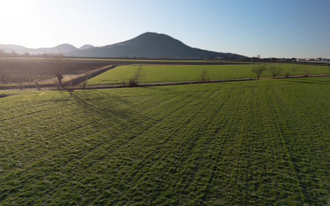 Modifiche al CSR Veneto: avviato l’iter di approvazione 
