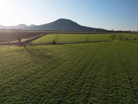 Modifiche al CSR Veneto: avviato l’iter di approvazione