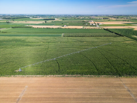 Impegni per la conversione di seminativi: approvata la graduatoria delle domande finanziate
