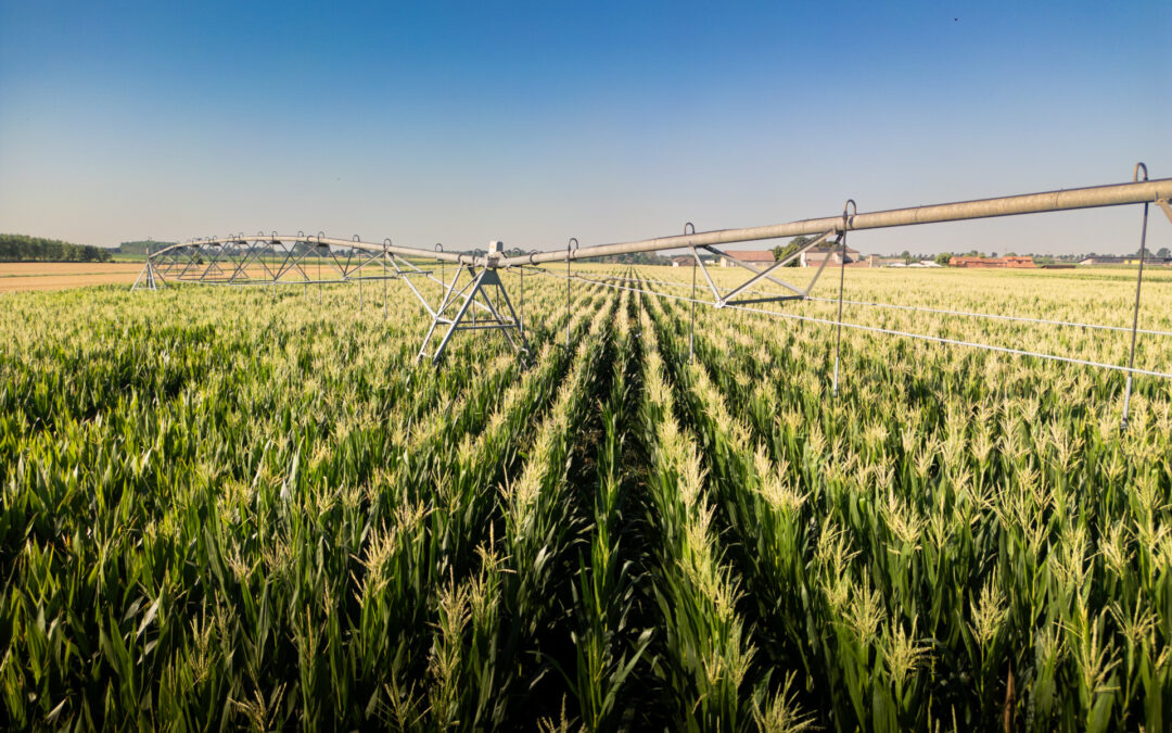 PSR Veneto: chiuso ufficialmente il programma con l’utilizzo tempestivo di tutte le risorse disponibili