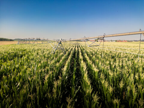 PSR Veneto: chiuso ufficialmente il programma con l’utilizzo tempestivo di tutte le risorse disponibili