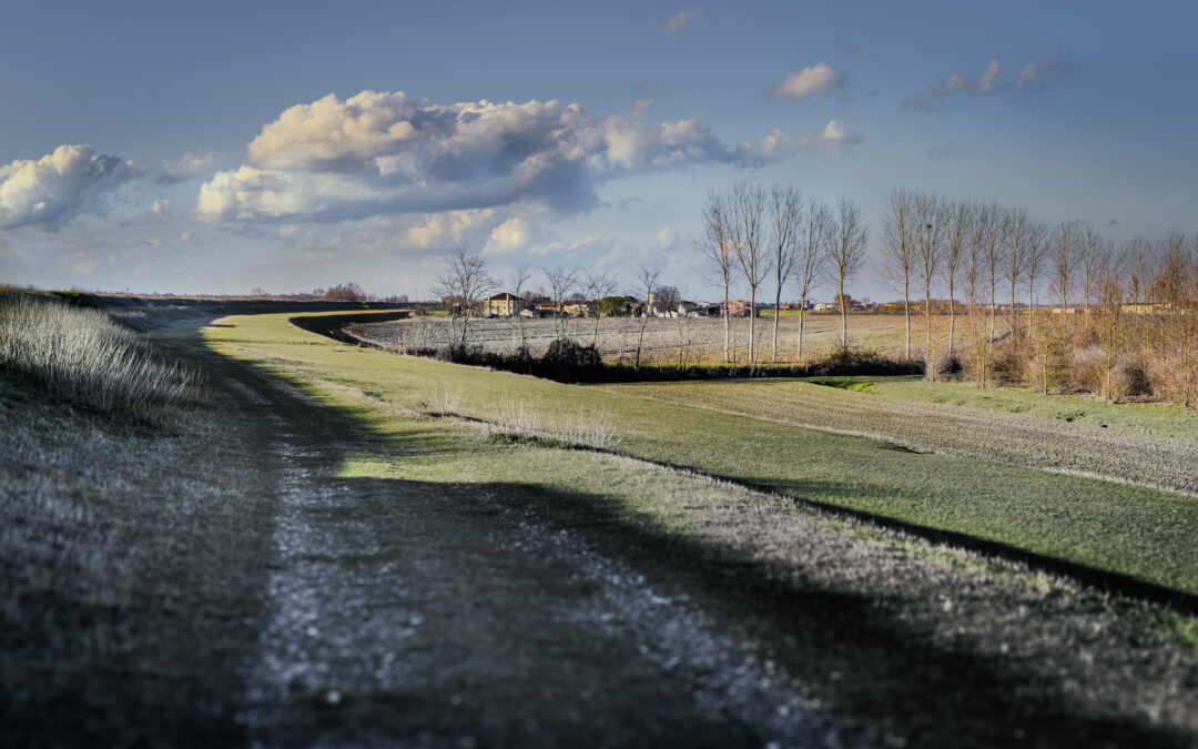 CSR Veneto: erogati 166 milioni di euro e raggiunto l’obiettivo di spesa 2025