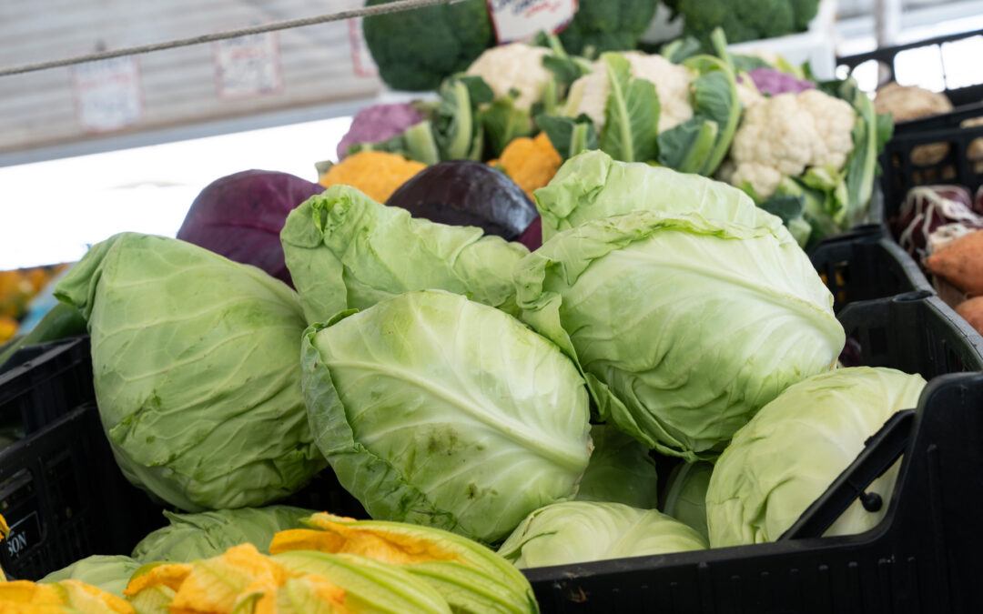 Finanziate 215 aziende agricole per il mantenimento dell’agricoltura biologica