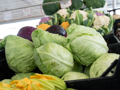 Finanziate 215 aziende agricole per il mantenimento dell’agricoltura biologica