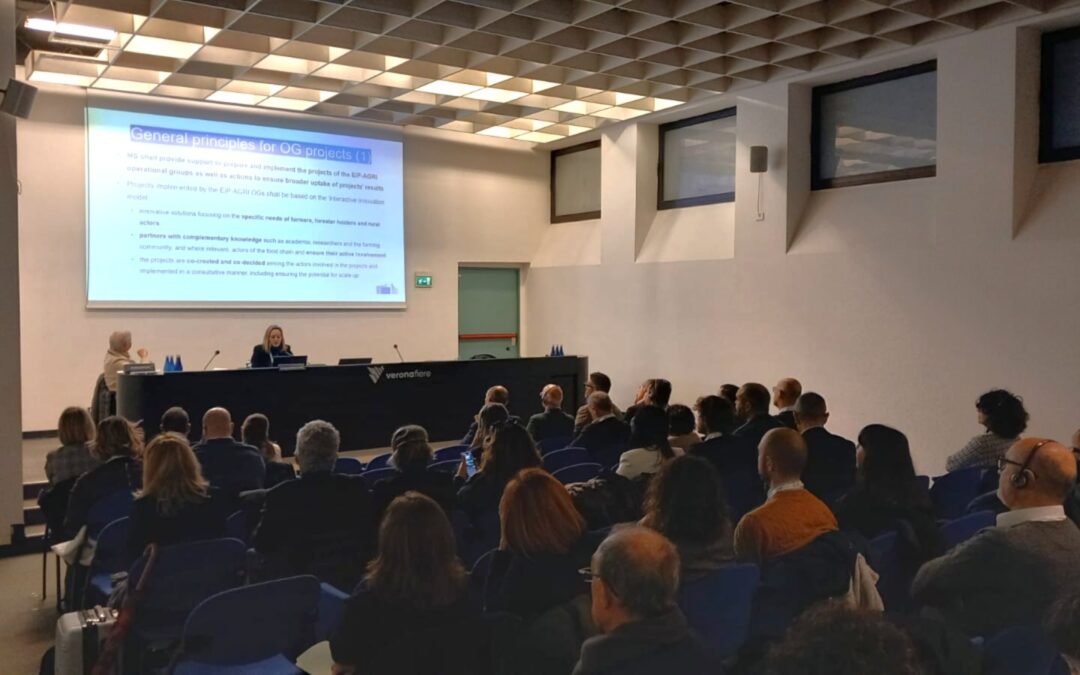 “L’AKIS Veneto si racconta” a Verona tra innovazione, competenze e testimonianze