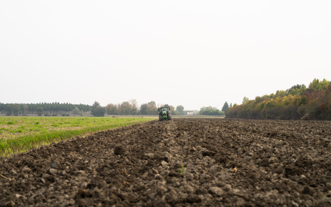 Impegni ambientali pluriennali: aperti i termini per la presentazione delle domande di conferma