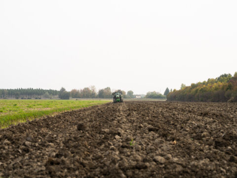 Impegni ambientali pluriennali: aperti i termini per la presentazione delle domande di conferma