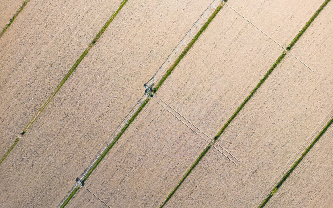 Incrementate le risorse per alcuni dei recenti bandi per investimenti e innovazione