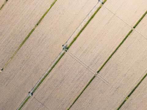 Incrementate le risorse per alcuni dei recenti bandi per investimenti e innovazione