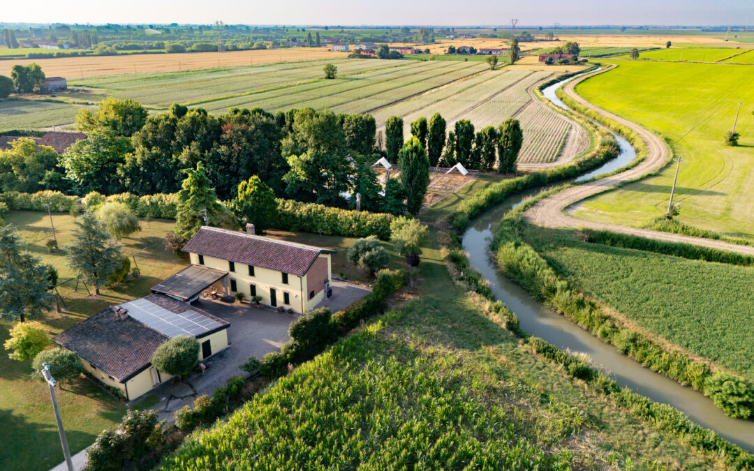 Conferenza regionale agricoltura e sviluppo rurale: a giugno il confronto     in Veneto sulla futura PAC
