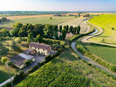 Conferenza regionale per l’agricoltura e lo sviluppo rurale: a giugno inizierà il confronto in Veneto sulla futura PAC 2028-2034