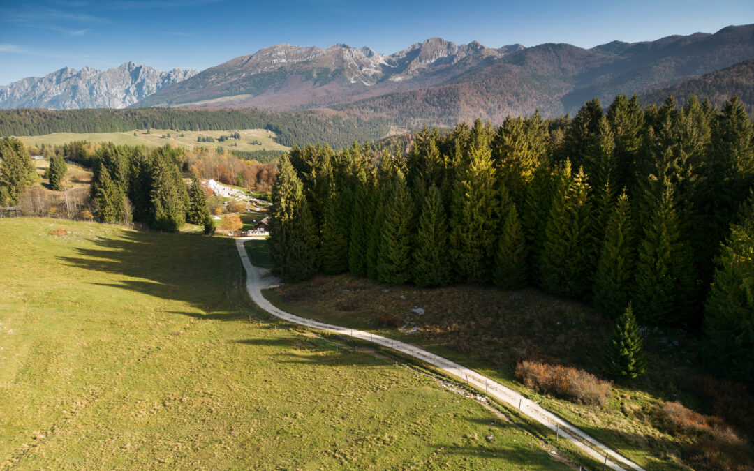 Viabilità forestale: incrementate di 2,5 milioni le risorse del bando