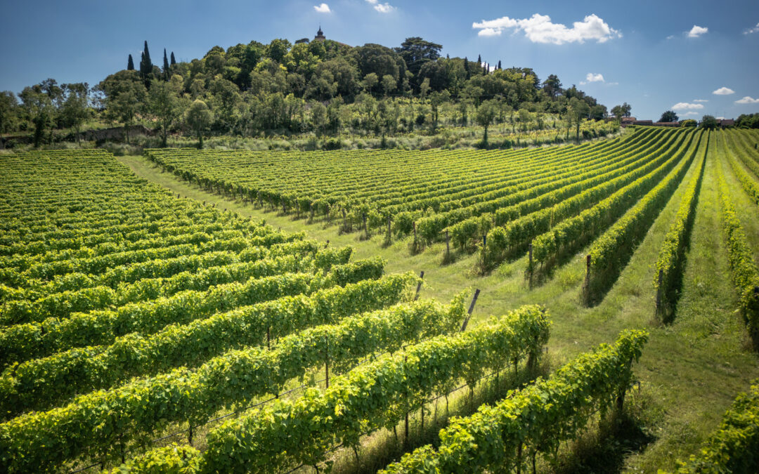 Piano dei bandi del CSR Veneto: approvato aggiornamento