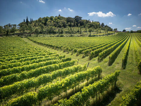 Piano dei bandi del CSR Veneto: approvato aggiornamento