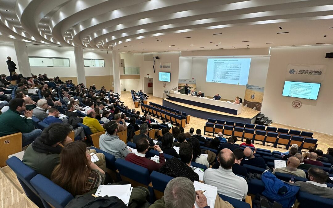 Avviata l’istituzione                                      del nuovo Partenariato                              per lo Sviluppo                                        rurale veneto                                                  2028-2034