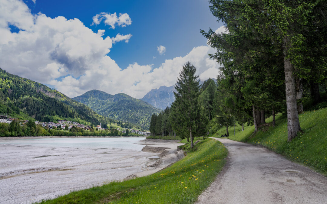 Investimenti per la viabilità forestale: finanziati 53 interventi per oltre 9 milioni di euro