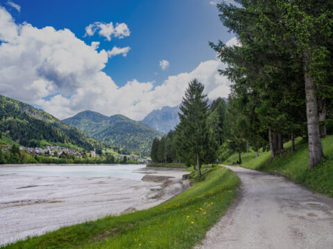 Investimenti per la viabilità forestale: finanziati 53 interventi per oltre 9 milioni di euro