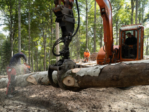 Ammodernamento e miglioramento del settore forestale: approvati interventi per 1,5 milioni