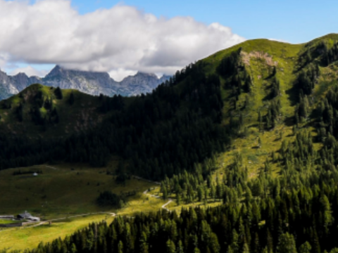 Coltiviamo insieme il domani: Friuli Venezia Giulia. In Carnia la gestione forestale si fa “in rete”