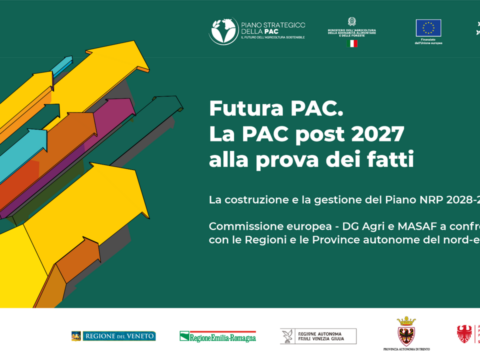 Futura PAC. La PAC post 2027 alla prova dei fatti