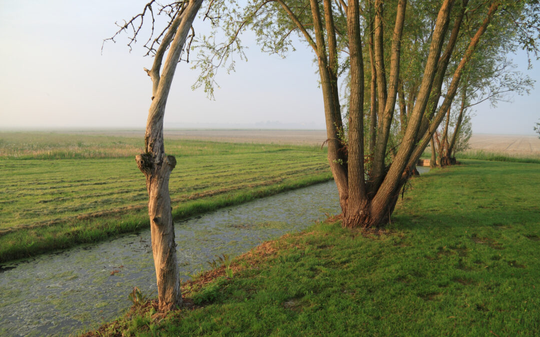 Investimenti per la tutela delle risorse naturali: finanziate 384 domande per 7,7 milioni di euro