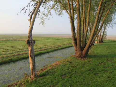 Investimenti per la tutela delle risorse naturali: finanziate 384 domande per 7,7 milioni di euro