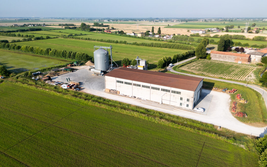 Investimenti agroindustriali: approvata un’integrazione finanziaria di 6,6 milioni di euro