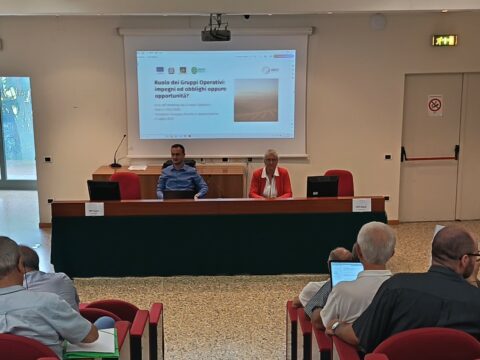 Cooperazione: incontro tra Regione e nuovi gruppi operativi per l’innovazione per l’agricoltura