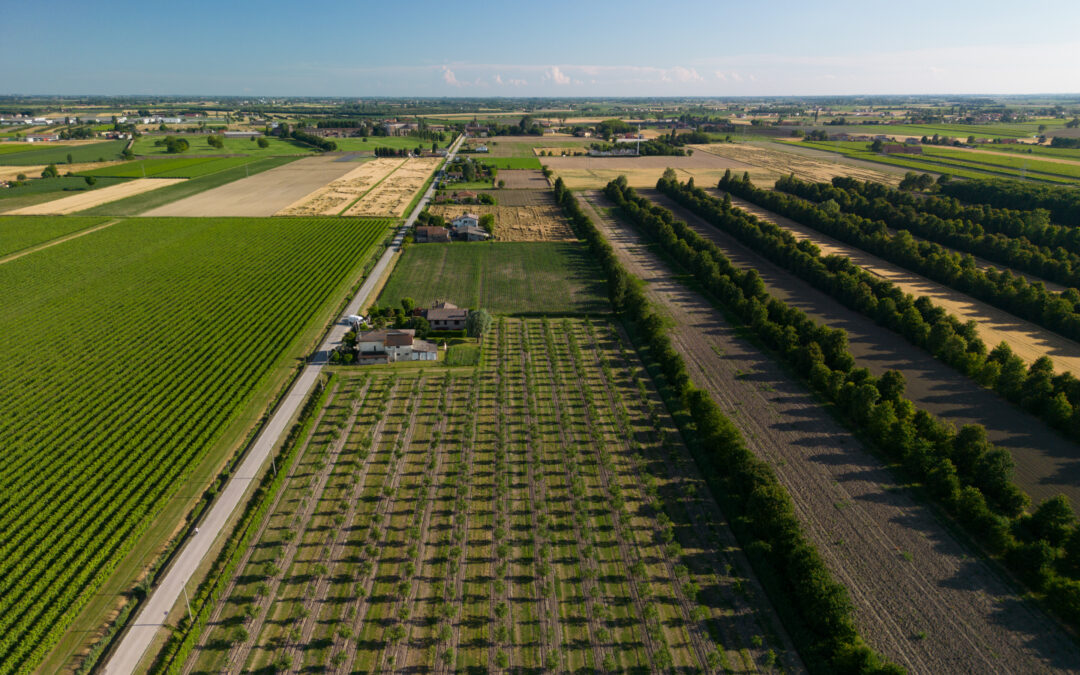 Incrementate le risorse per gestione di infrastrutture ecologiche e mantenimento di imboschimenti