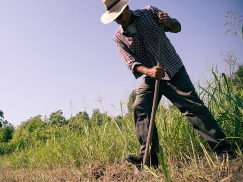 Nuovi bandi del CSR Veneto per 60 milioni di euro: iniziato il percorso di approvazione