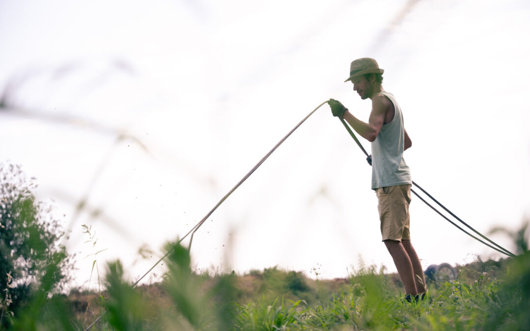 Giovani agricoltori: bandi per 47,5 milioni di euro per primo insediamento e investimenti