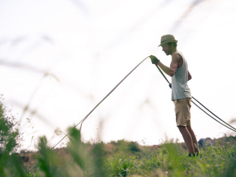 Nuovi bandi CSR: ai giovani agricoltori 47,5 milioni di euro per insediamento e investimenti