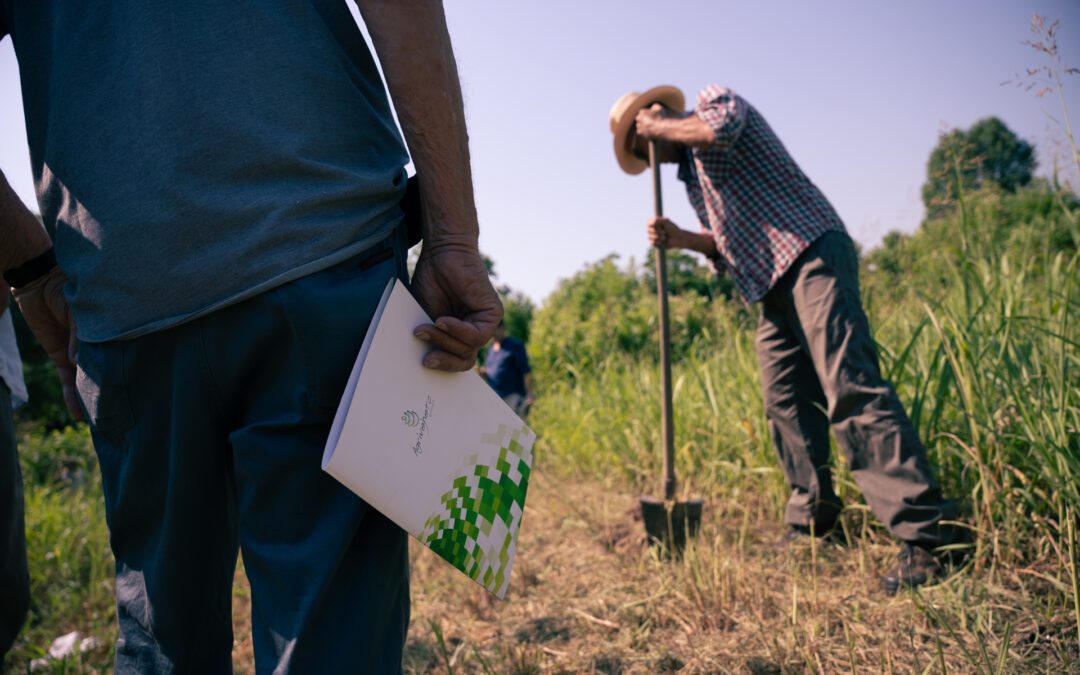 CSR Veneto: 6 milioni di euro per la formazione in agricoltura