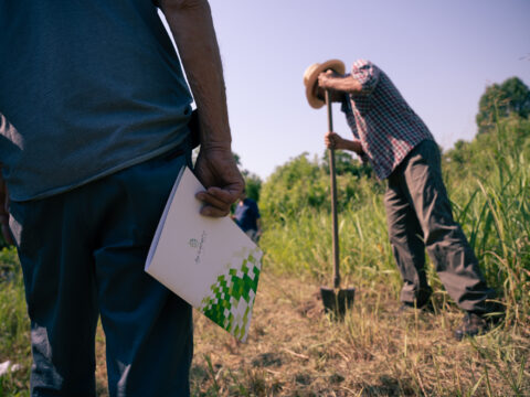 CSR Veneto: 6 milioni di euro per la formazione in agricoltura