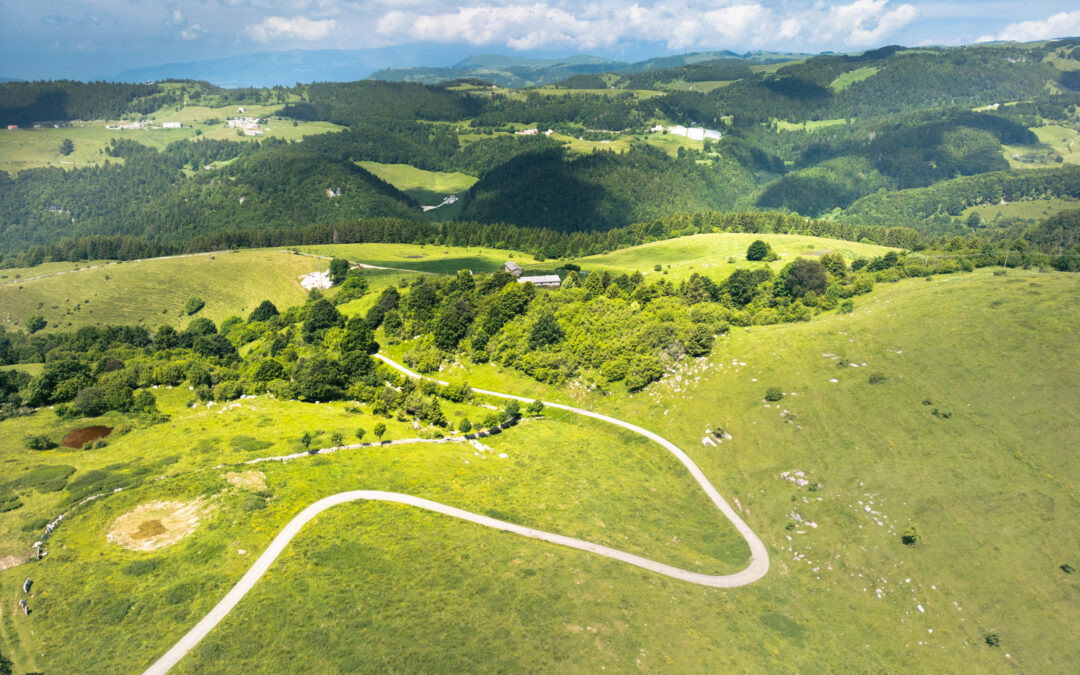 Sostegno all’agricoltura di montagna: finanziate 3.400 domande per 18 milioni di euro